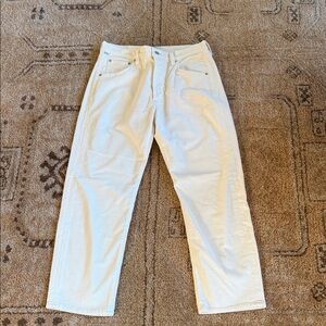 Citizens of humanity Winslow cords